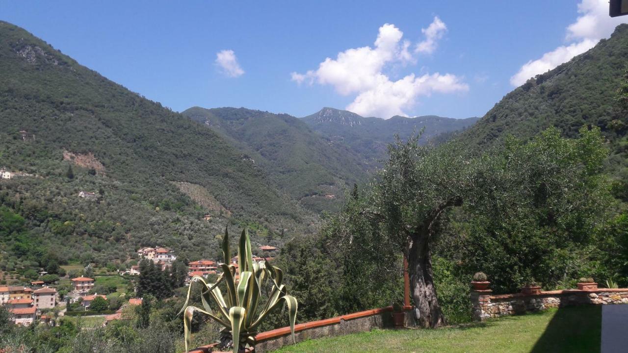 Il Colle Di Abramo Casa Vacanze Enrica Pietrasanta Ngoại thất bức ảnh